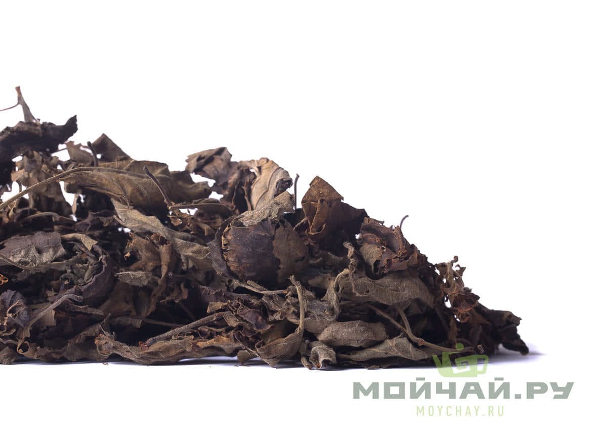 Hazelnut leaf (hazelnut), fermented