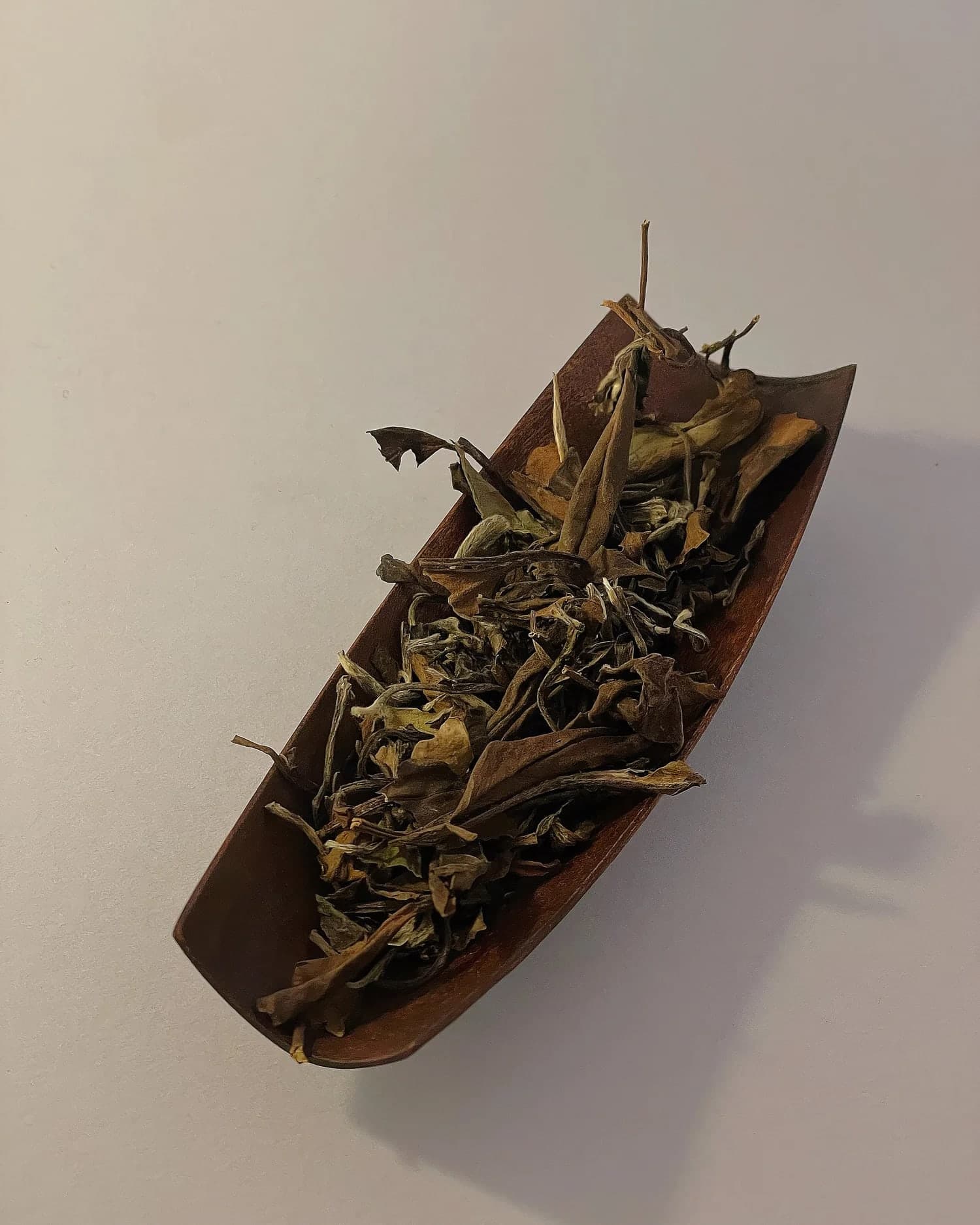 Fujian Taimu Mountain 2019 Aged White Tea