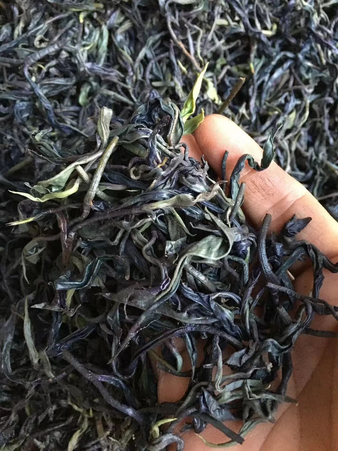 Yunnan Purple Bud White Tea