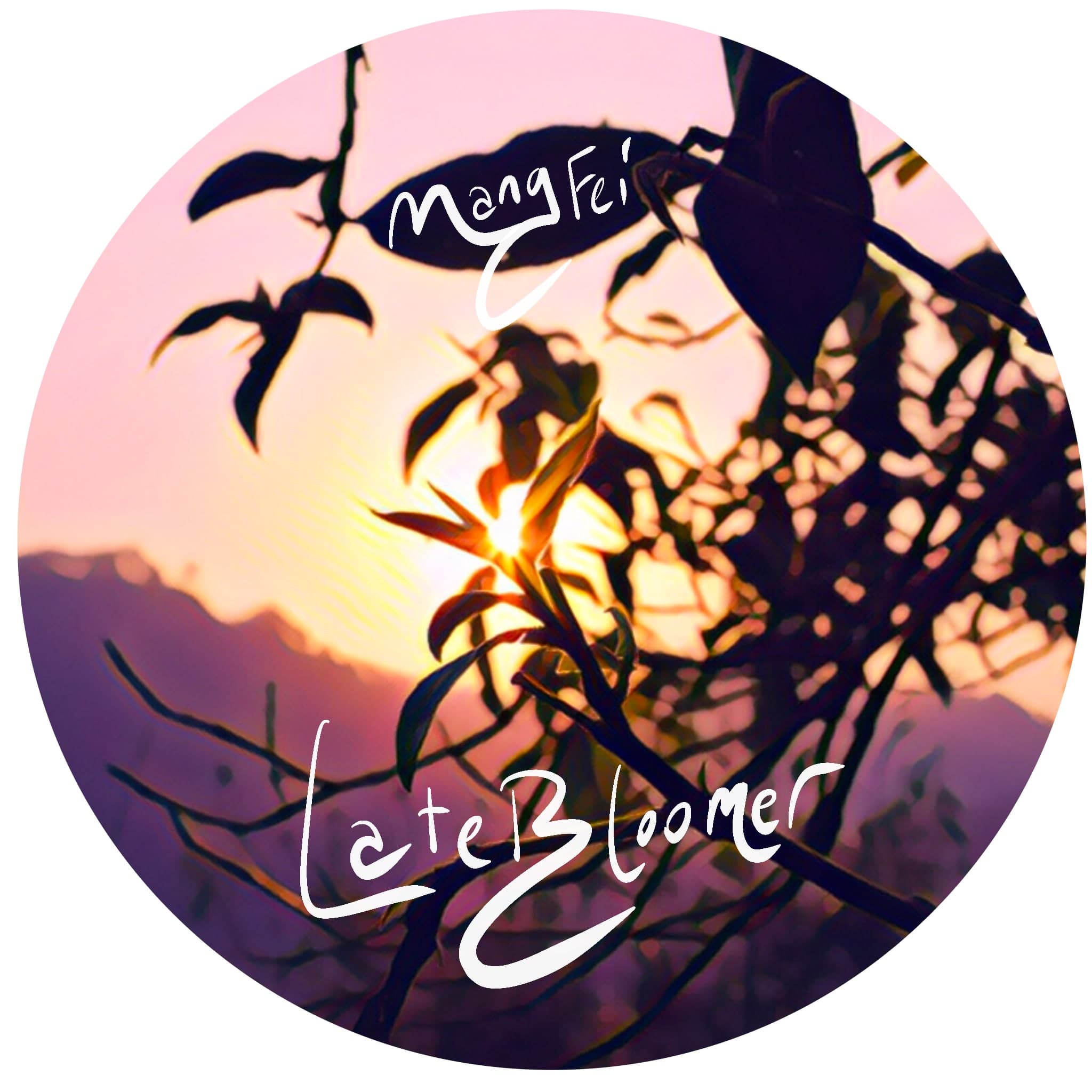 Late Bloomer 2023 Mangfei