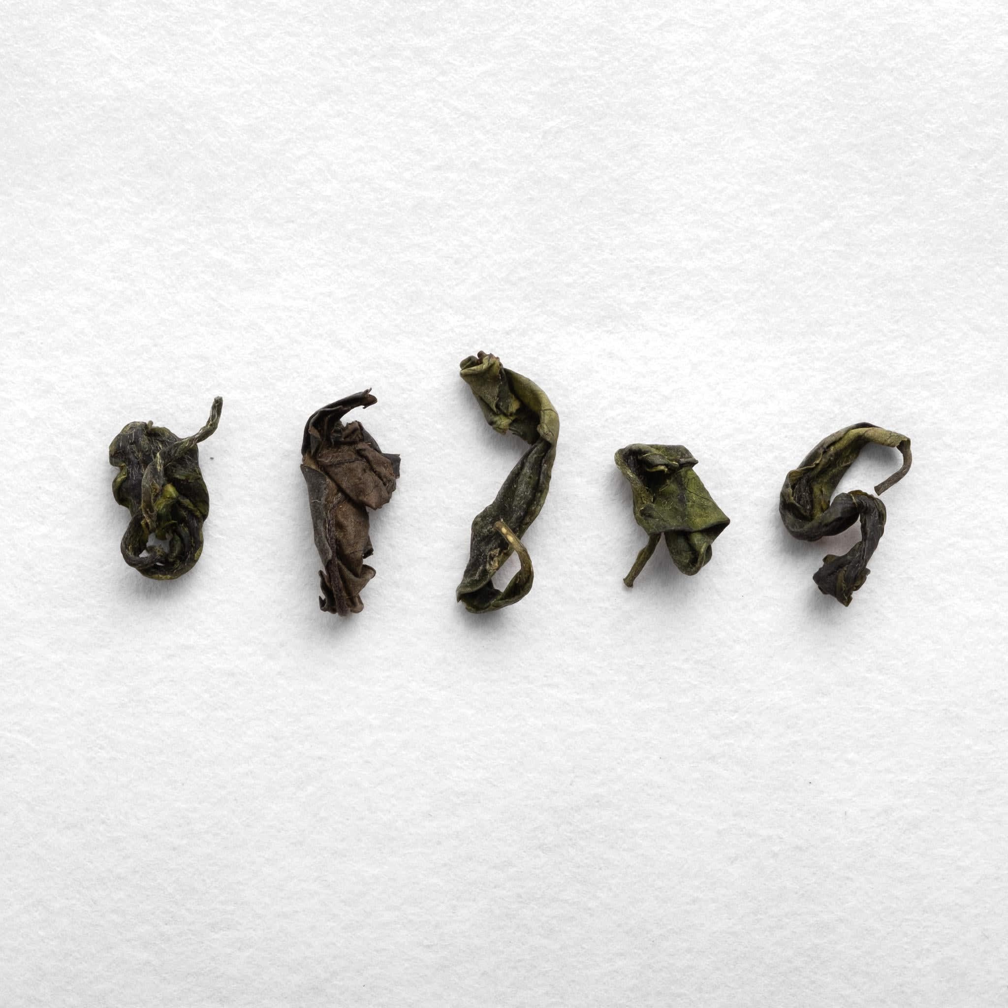 Sayama Micro-oxidized Kamairicha