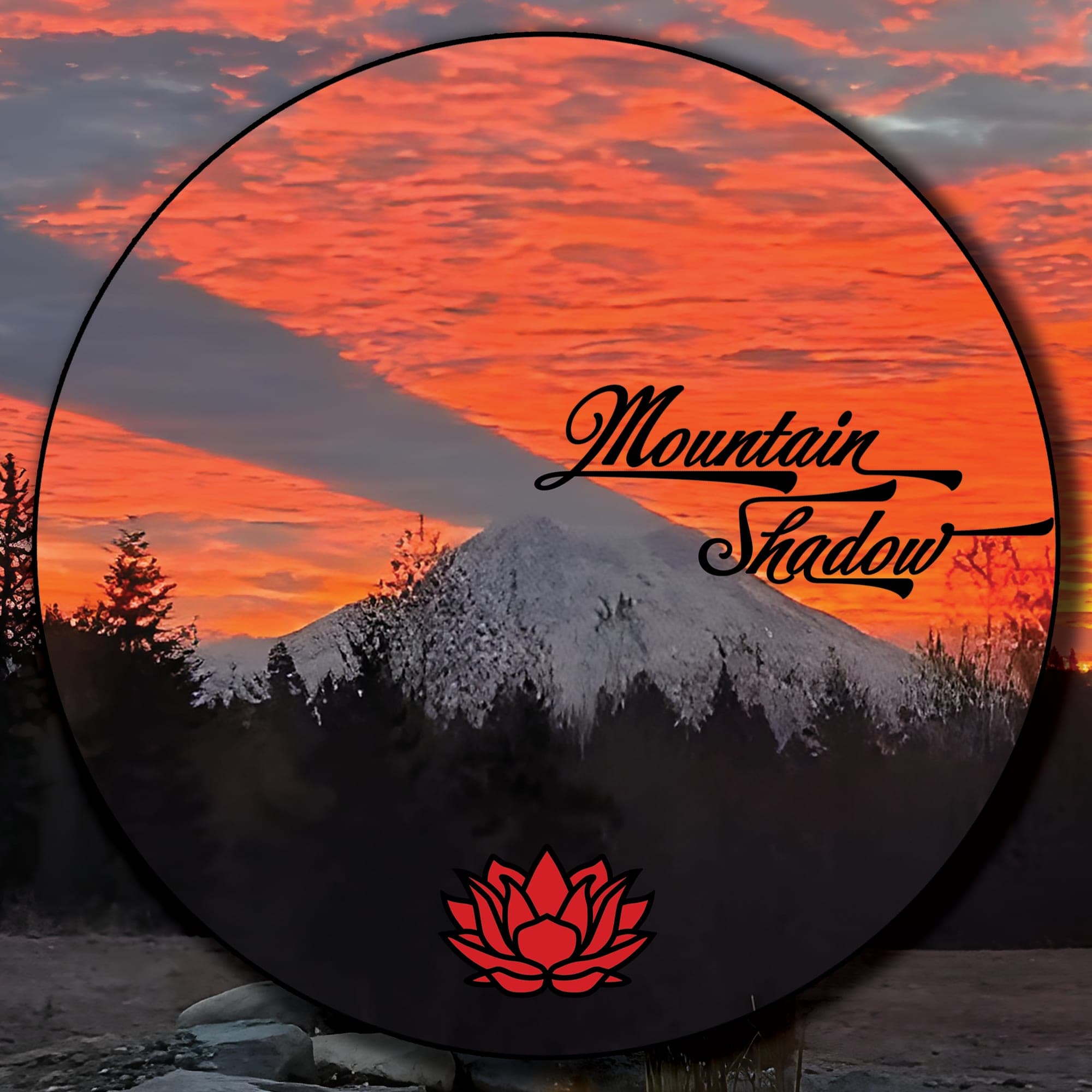 2025 "Mountain Shadow" Shou / Ripe Puerh Tea - 200g Cake