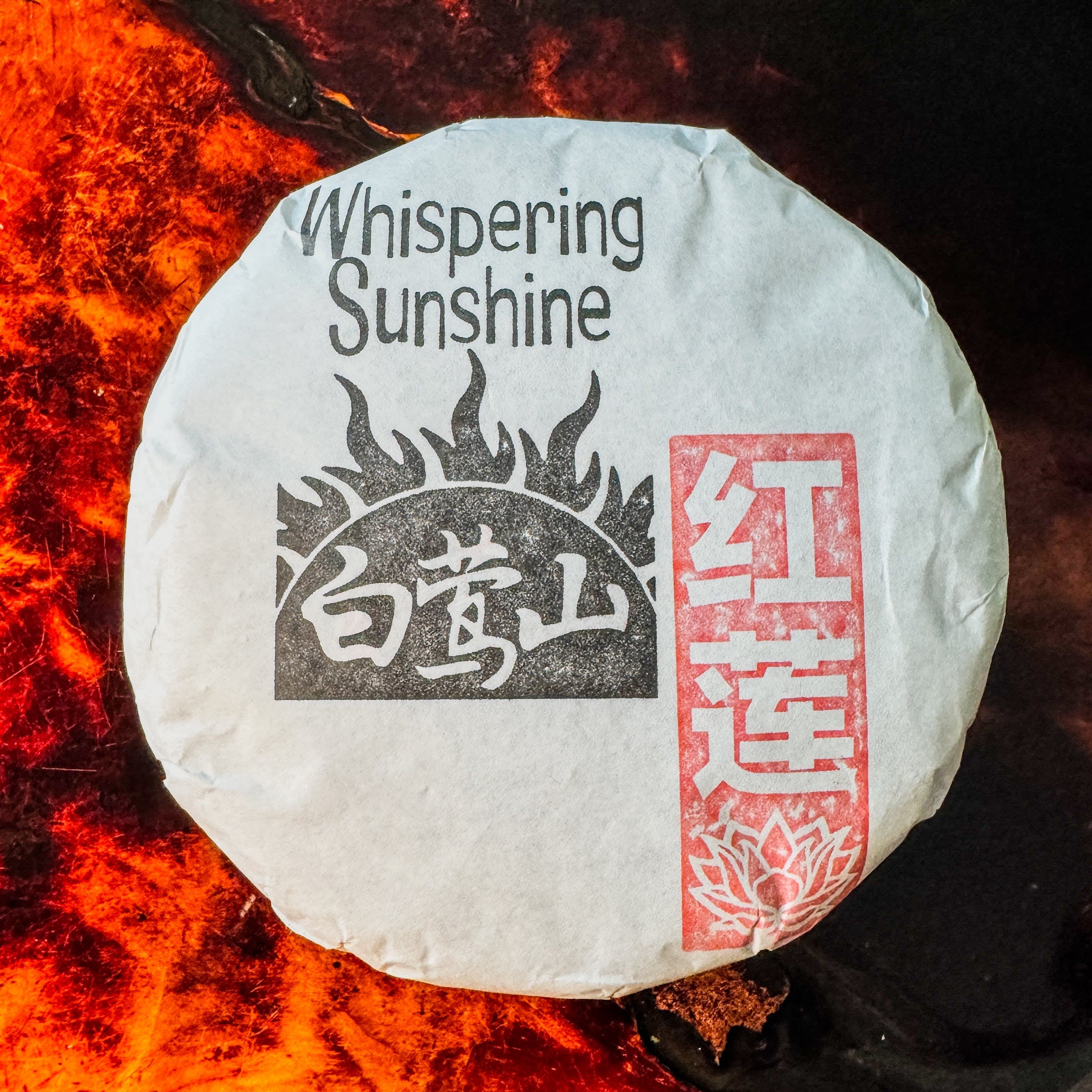 2024 Spring Bai Ying Shan "Whispering Sunshine" Sheng / Raw Puerh Tea - 200g Cake