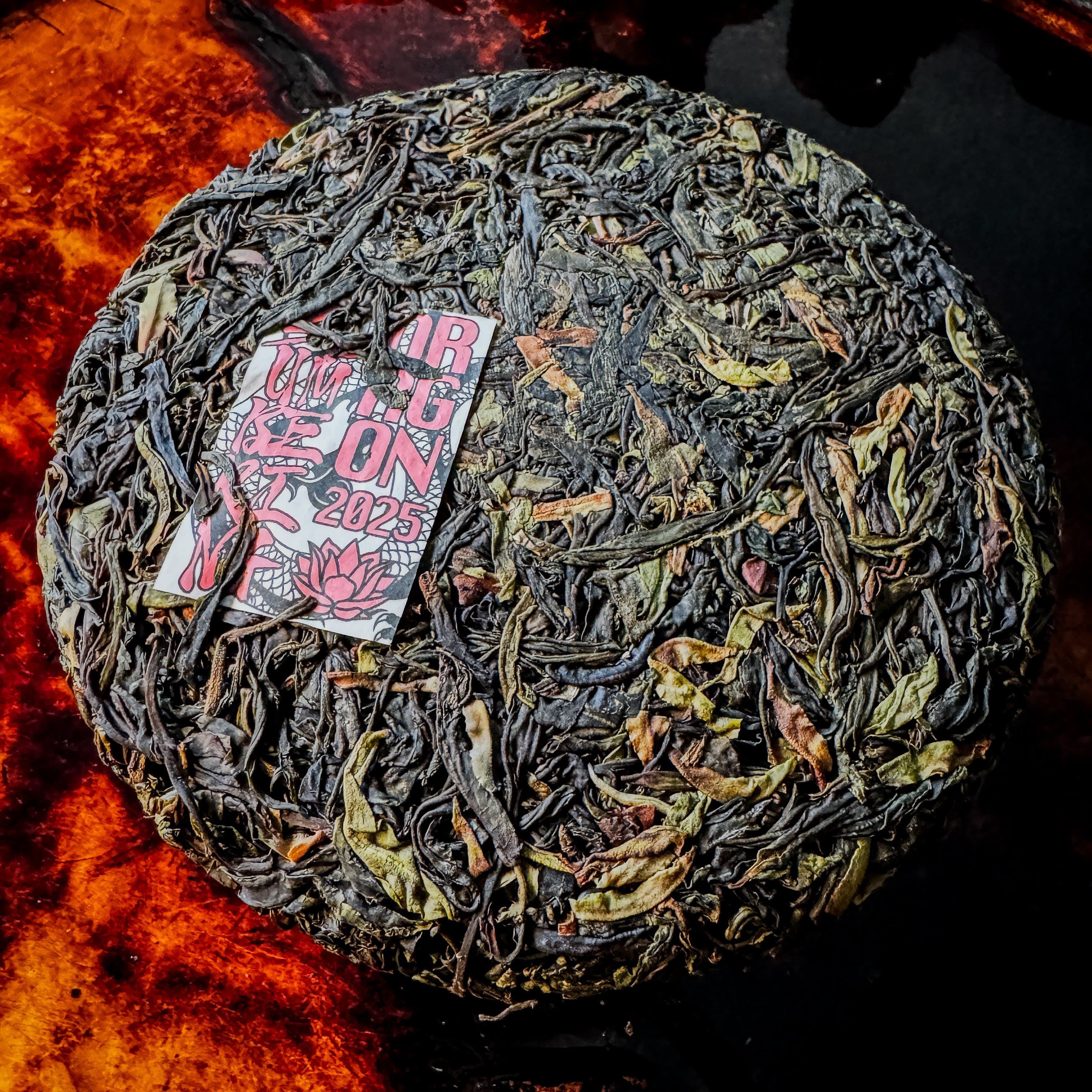 2025 Spring Kunlu Wild "Slumbering Dragon" Sheng / Raw Puerh Tea - 200g Cake :: Seattle Inventory