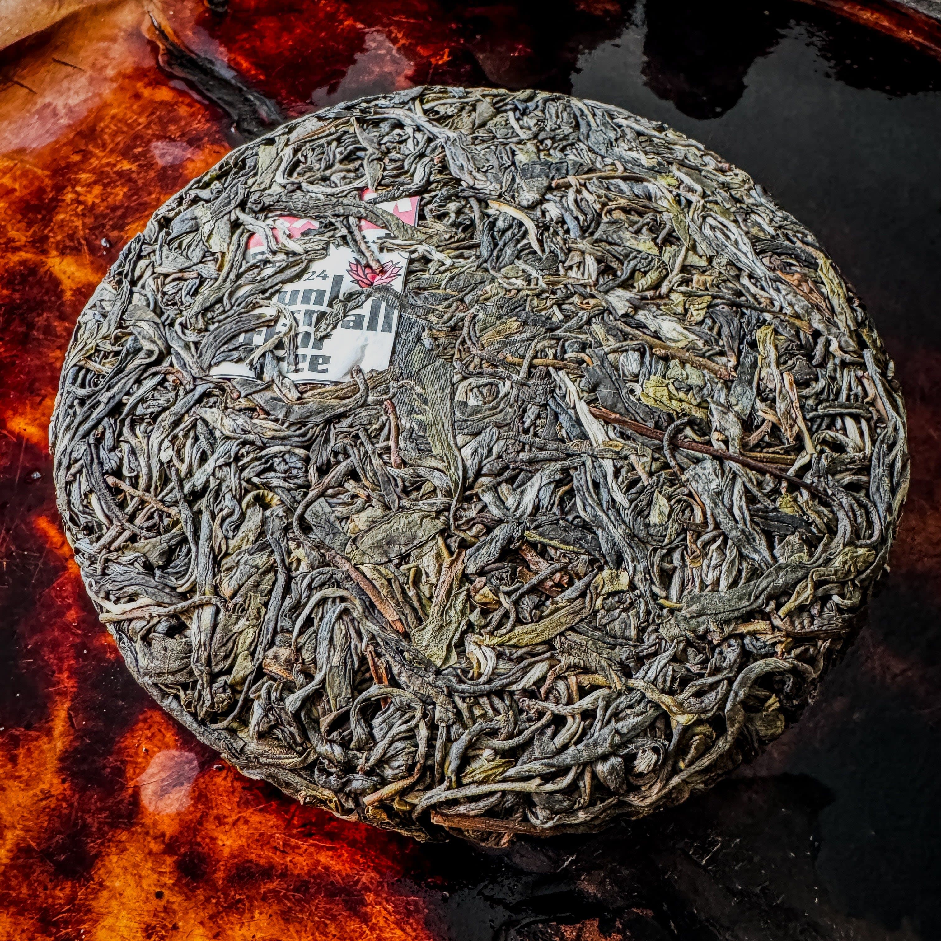 2024 Spring Kunlu Xiao Qiao Mu Sheng / Raw Puerh Tea - 200g Cake :: Seattle Inventory