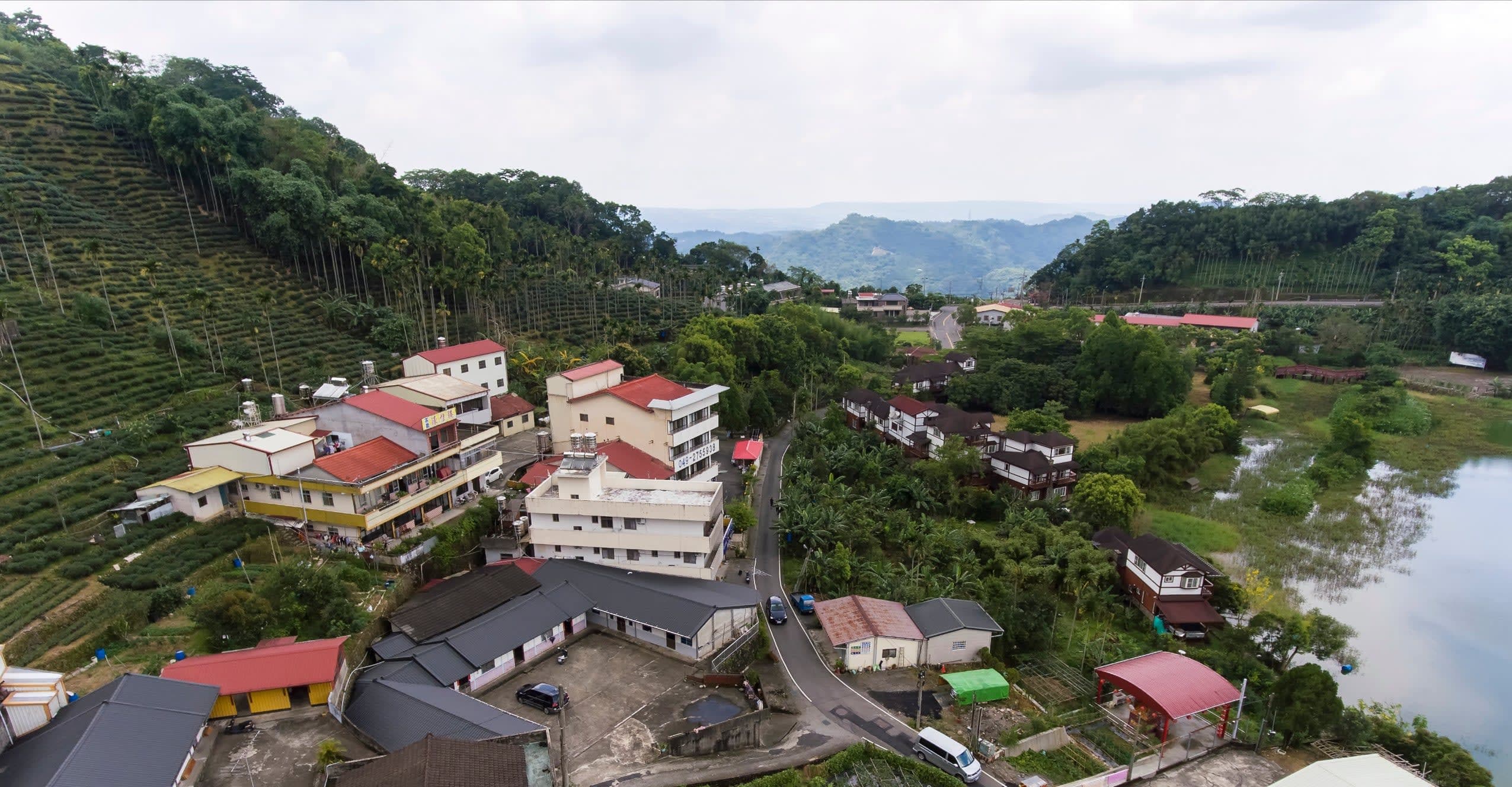 Tea Class : Exploring Dong Ding