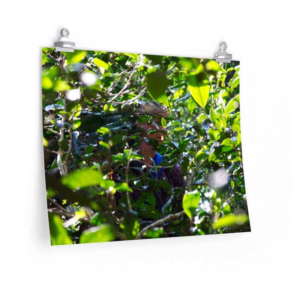 Woman from Manzhuan - Poster