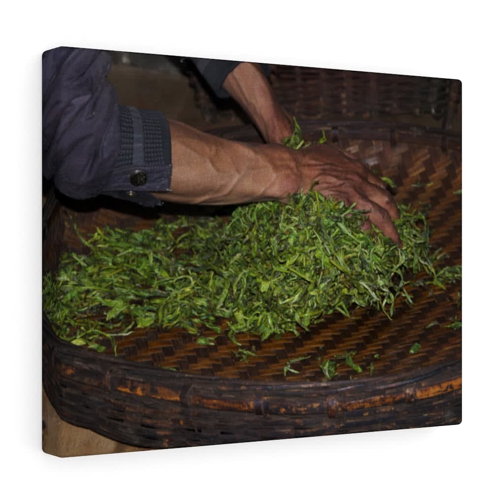 Hand Processed - Canvas Print