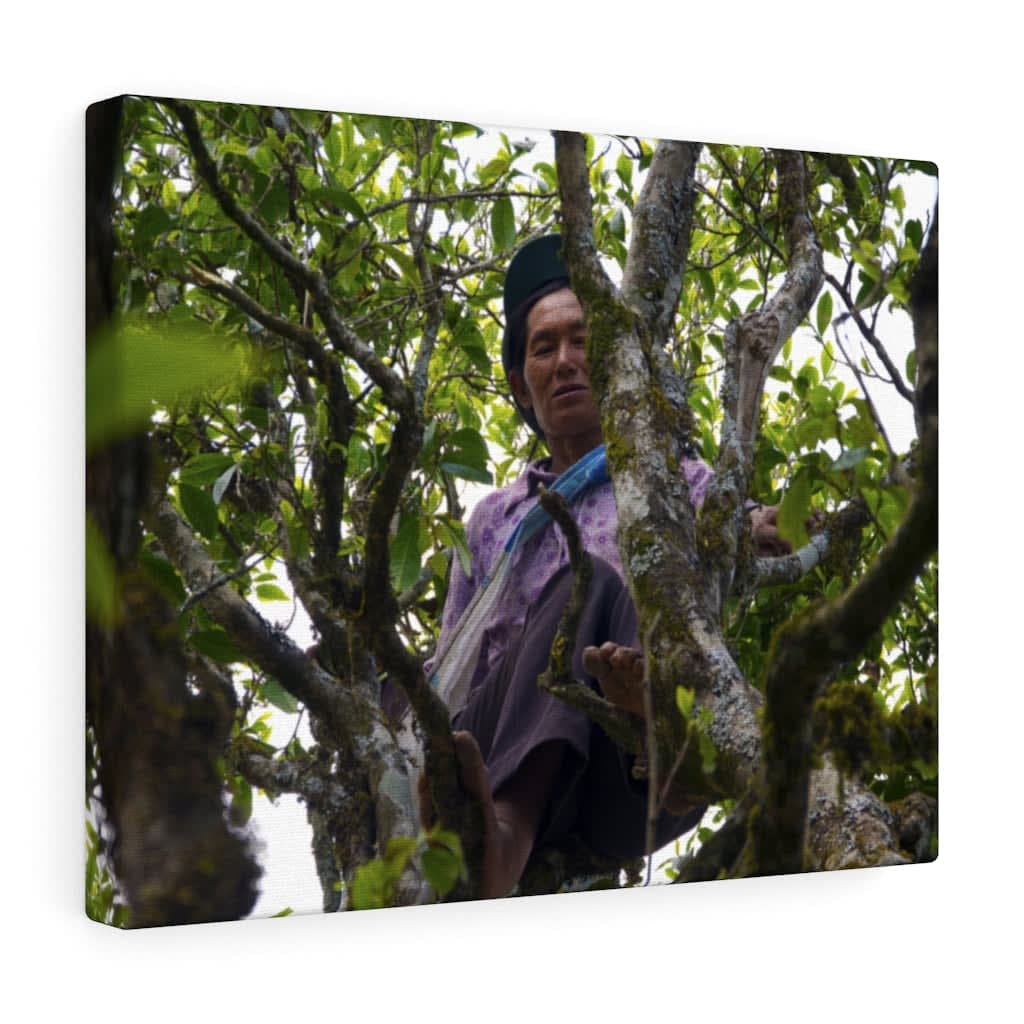 Woman from Bai Ying Shan - Canvas Print