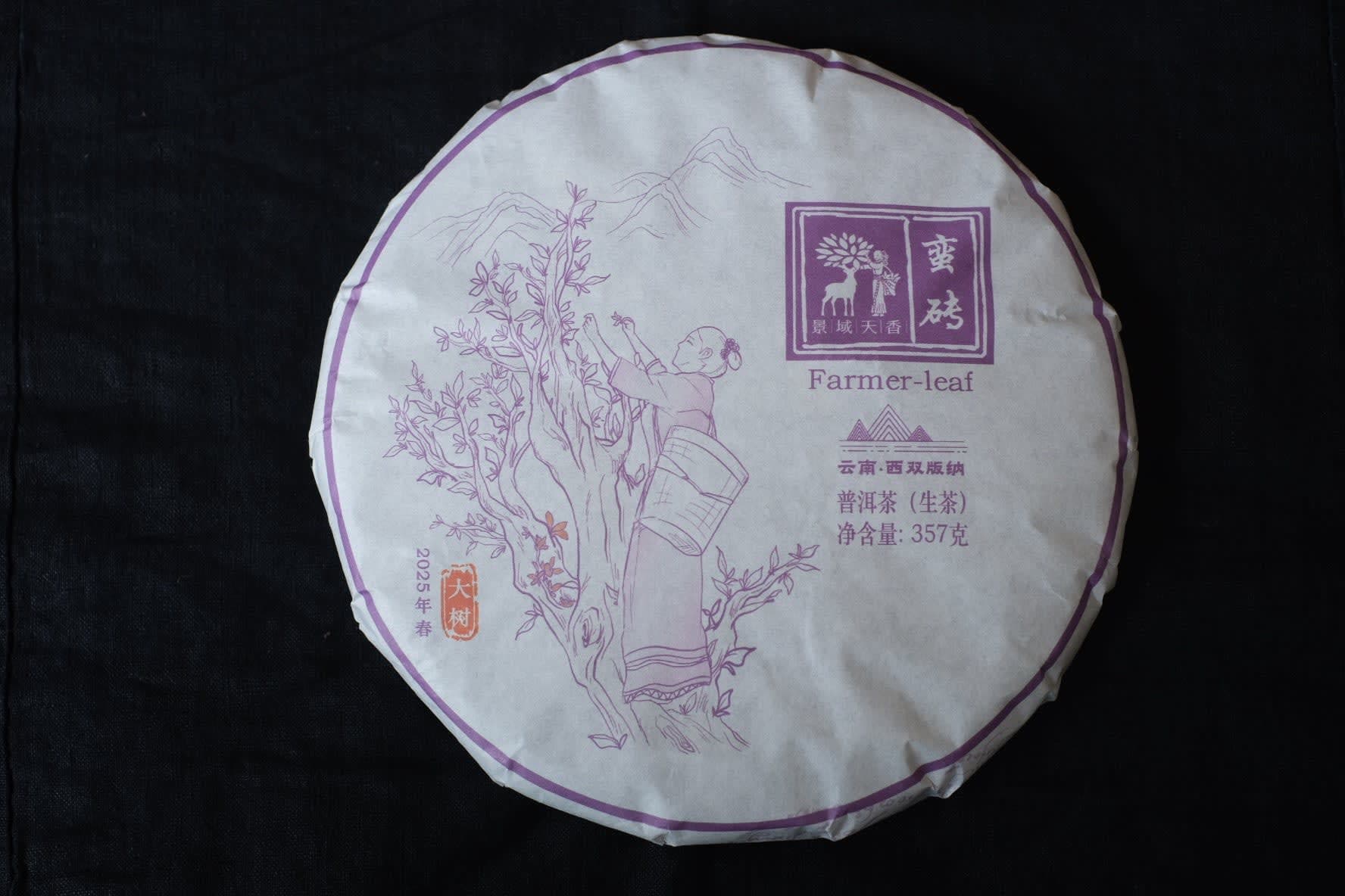 Spring 2025 Manzhuan