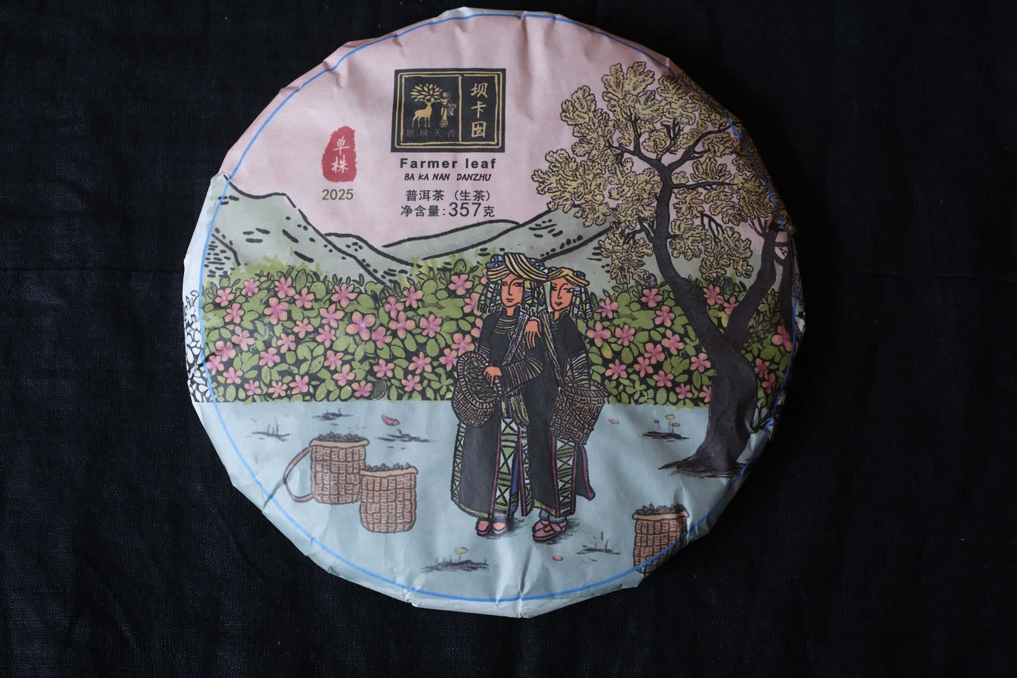 Spring 2025 Ba Ka Noy single trees