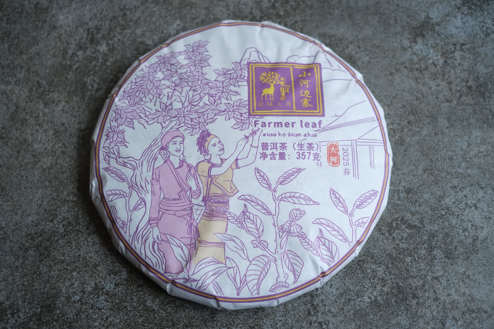 Spring 2025 Xiao He Bian