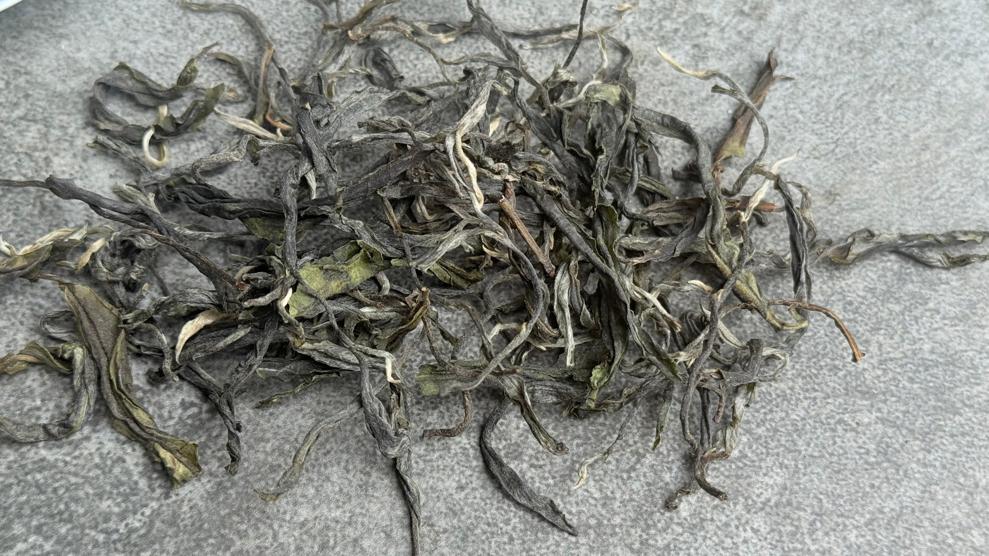 Spring 2025 Mang Nuo Single Trees