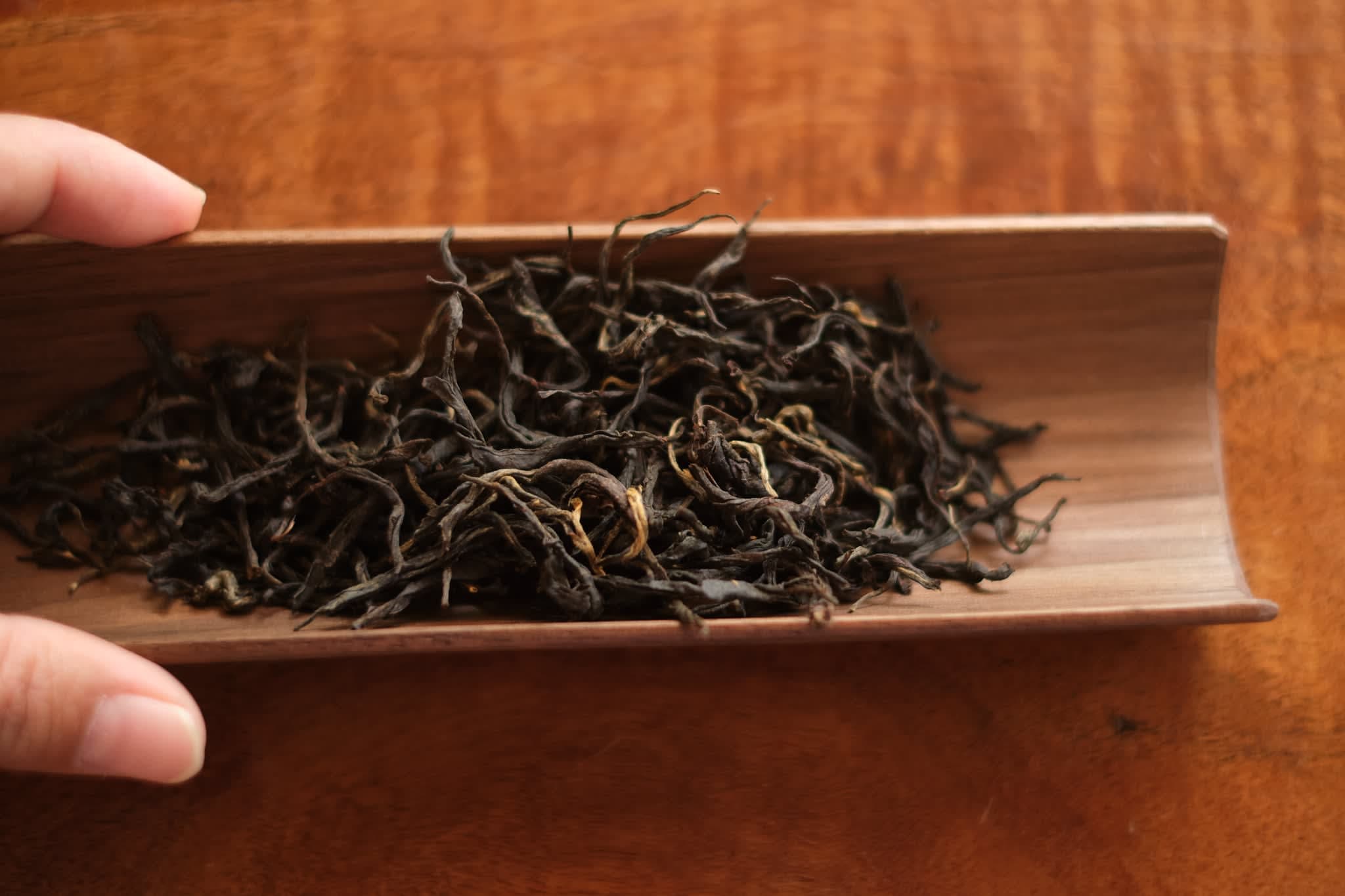 Spring 2025 Yingpan Shan Black