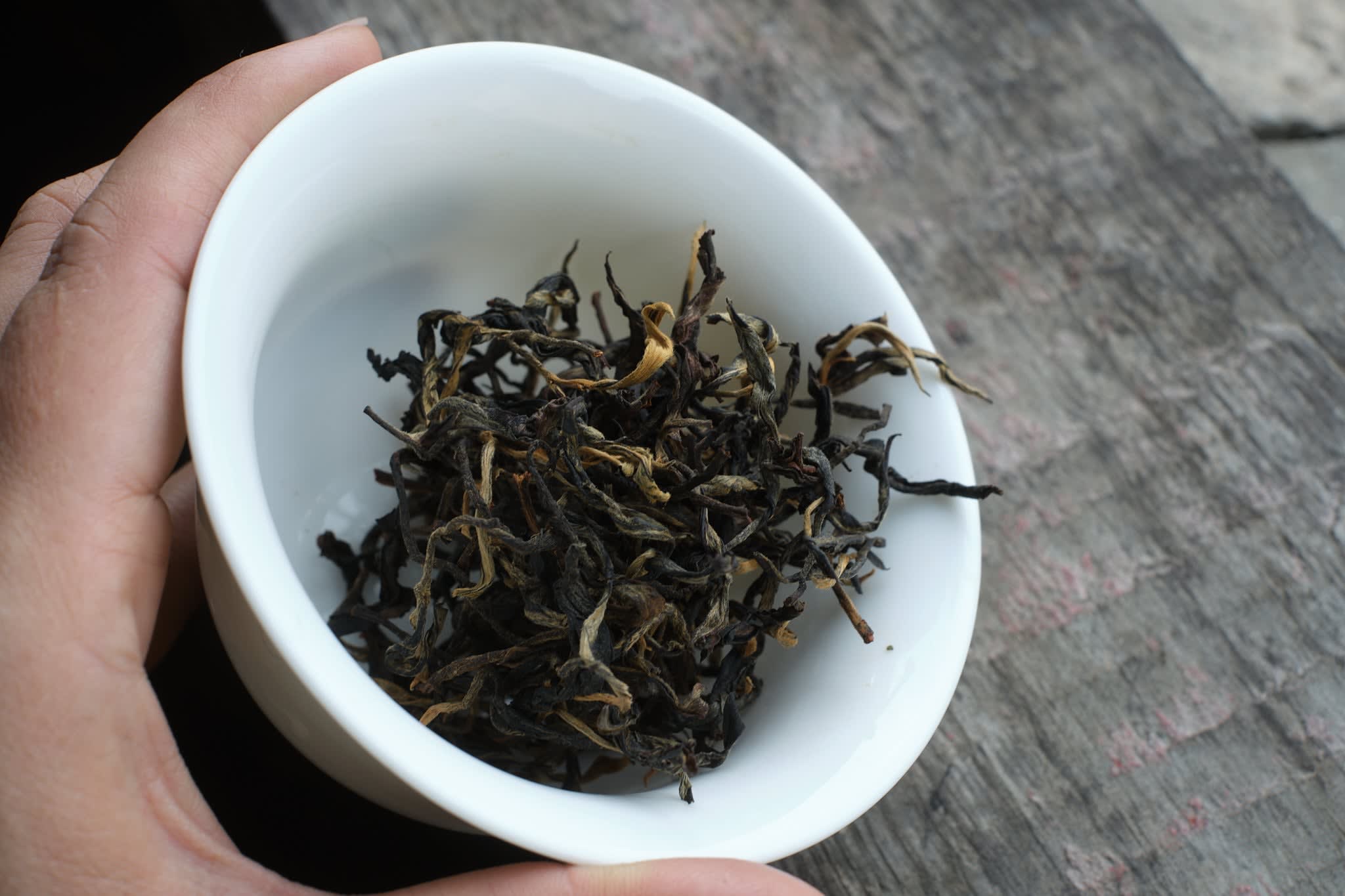 Spring 2025 Sun-dried black light roast