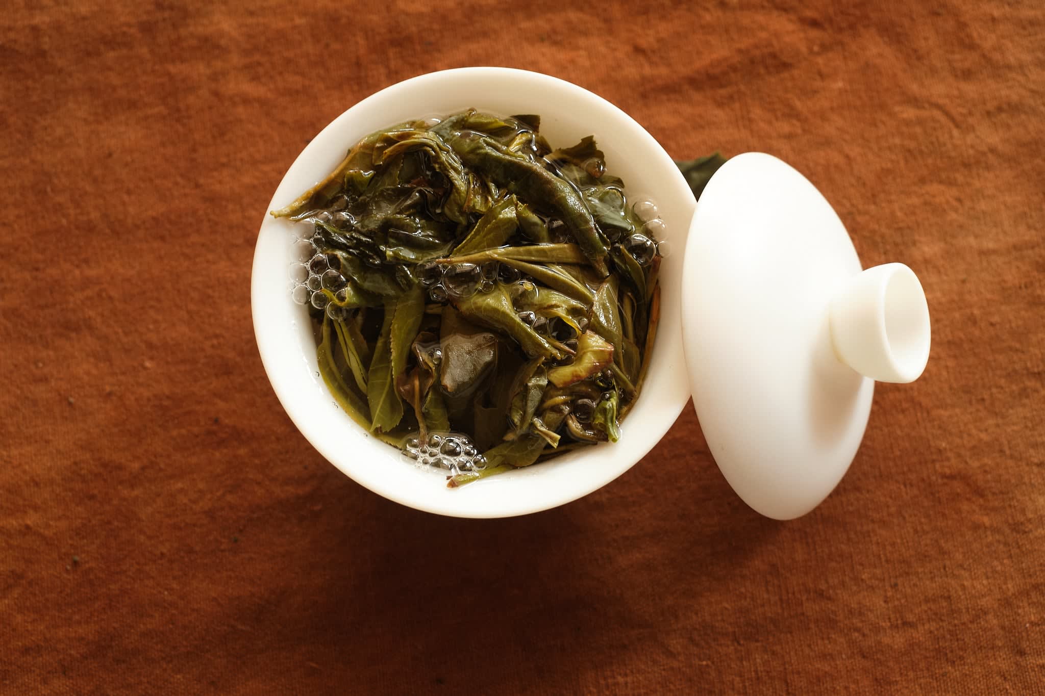 Spring 2025 Liu Dui Mao Cha