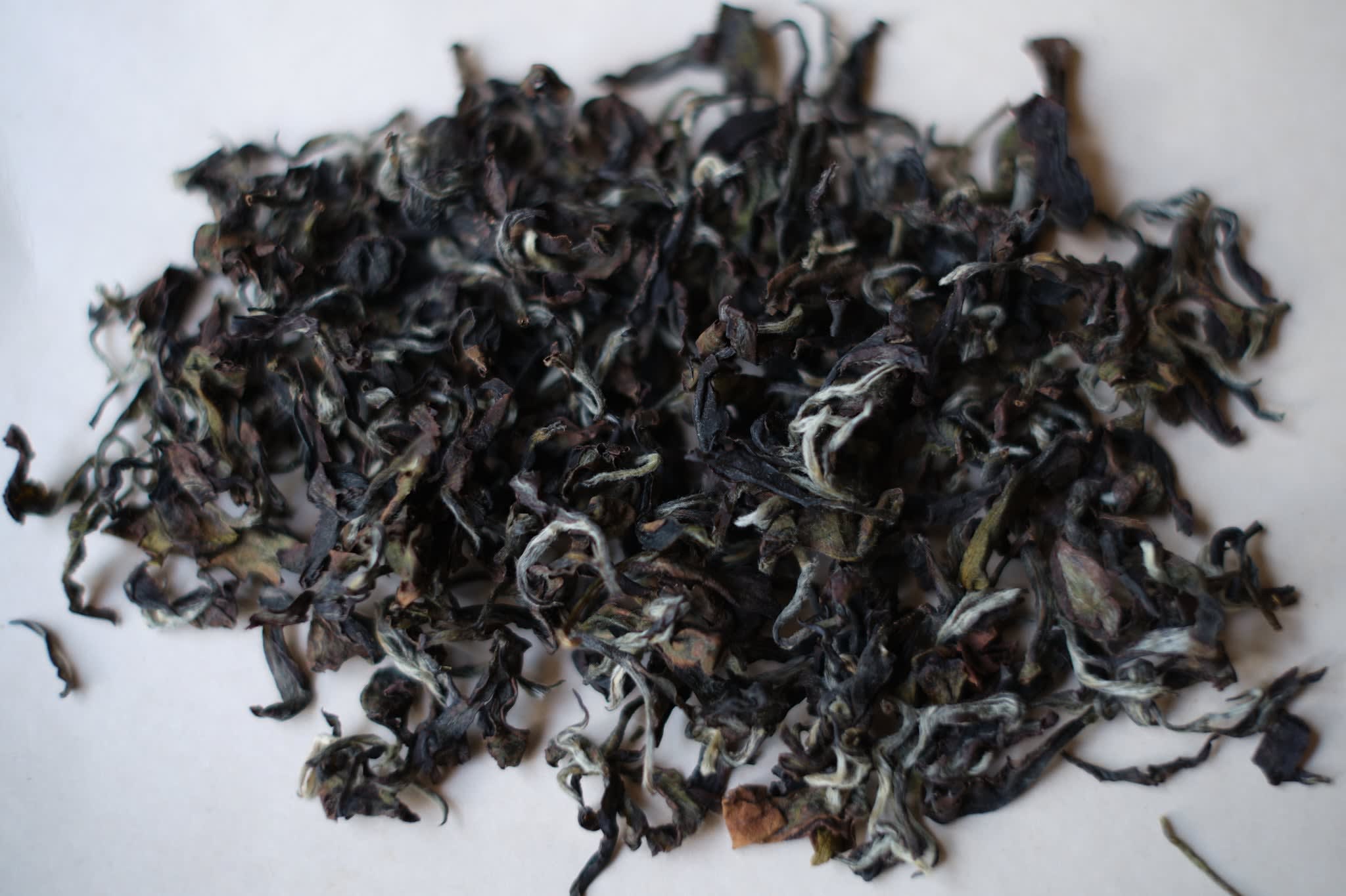 Summer 2023 Light Roast Ailao Oriental Beauty