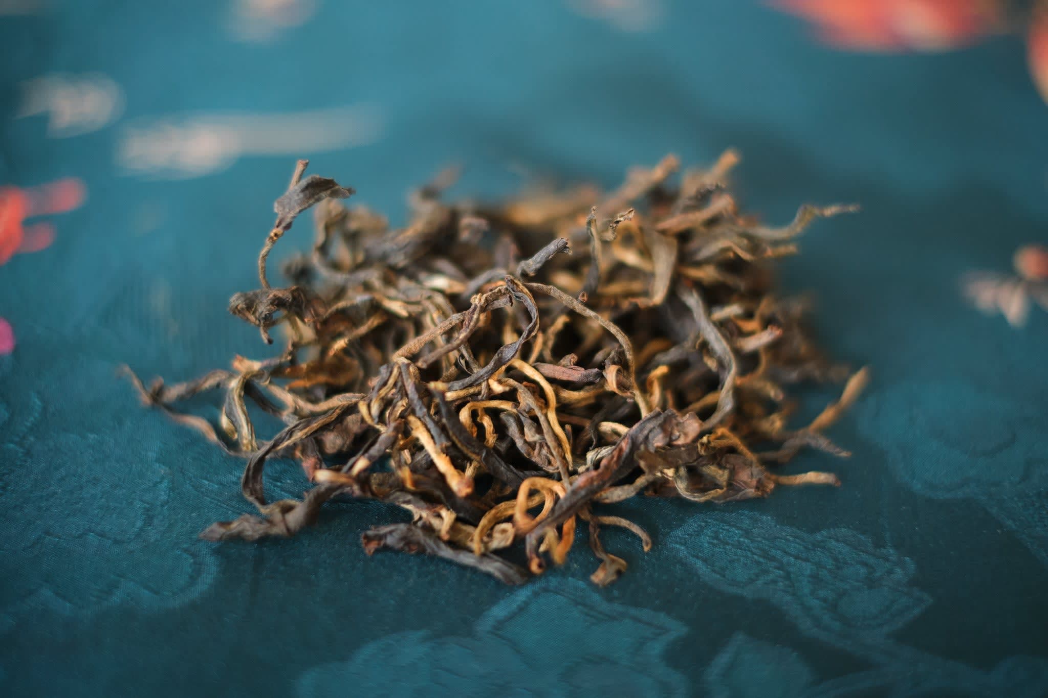 Autumn 2023 Naka Black