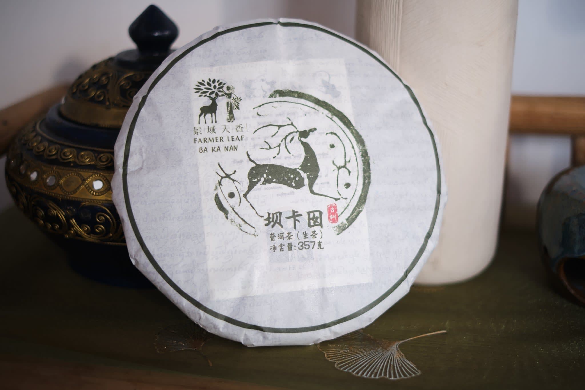 Autumn 2023 Ba Ka Noy