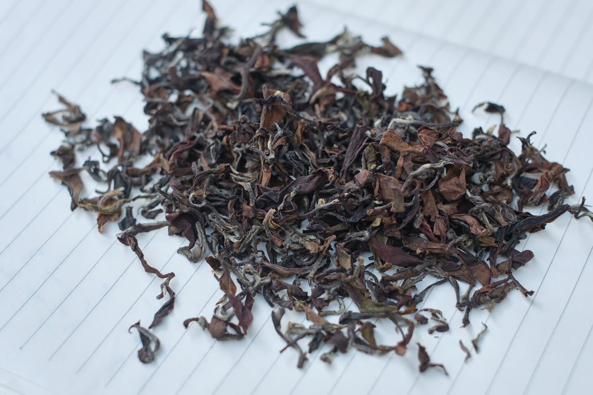 Autumn 2023 Fen Shui Ling Oriental Beauty