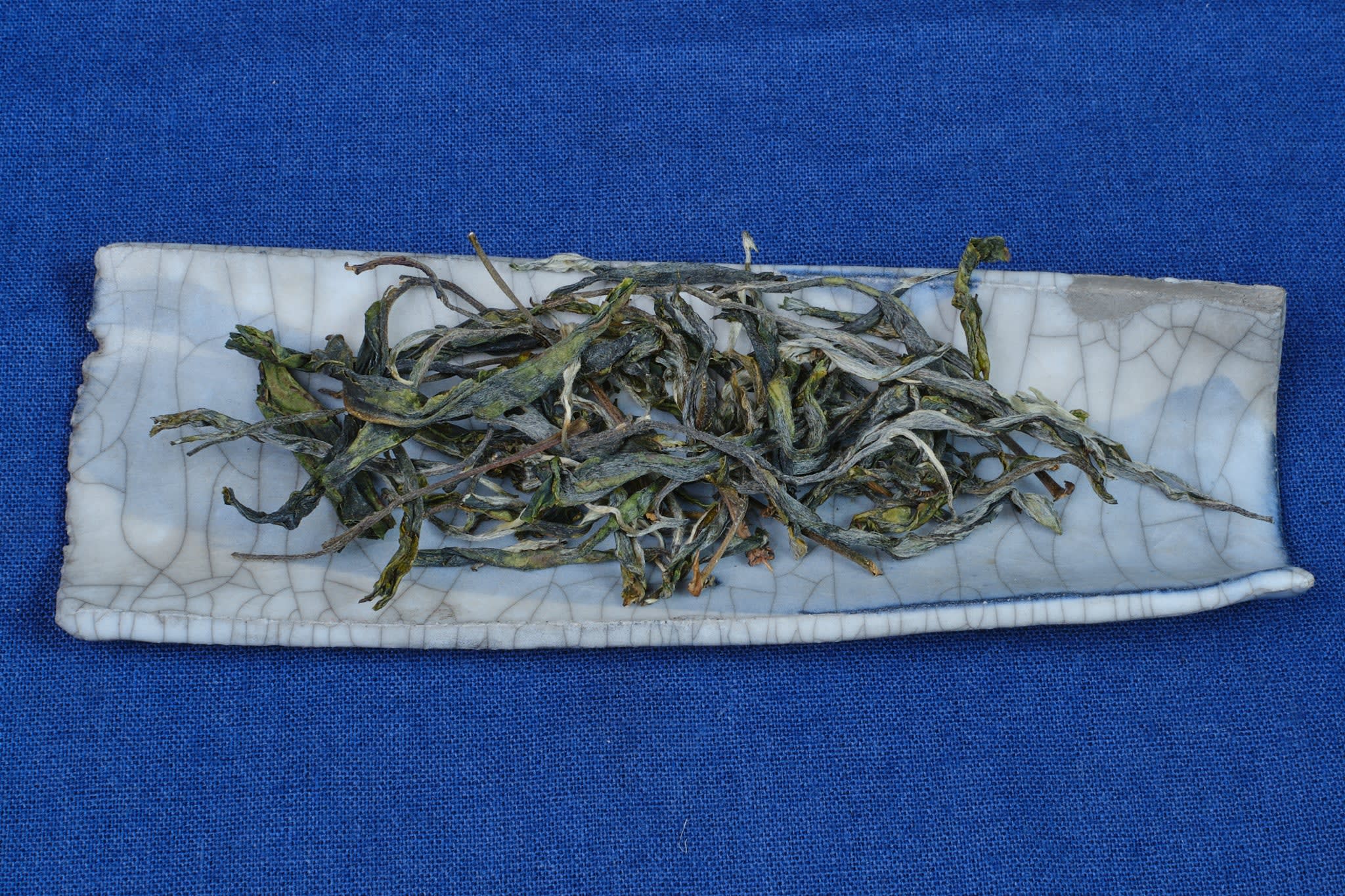 Wen Shan Ding Big Trees