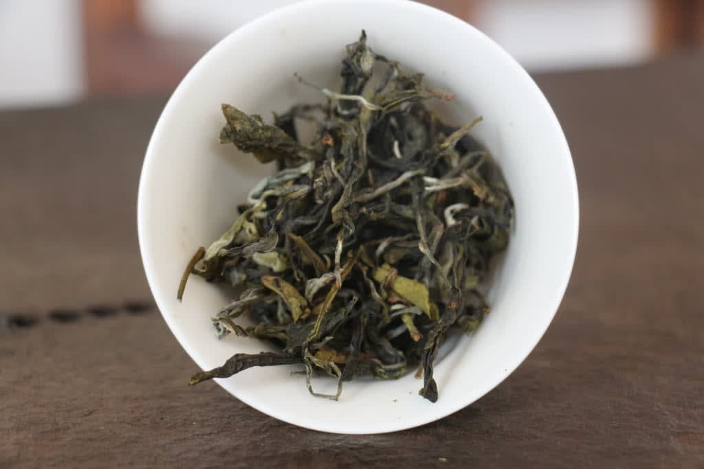 Spring 2021 Guang Jing