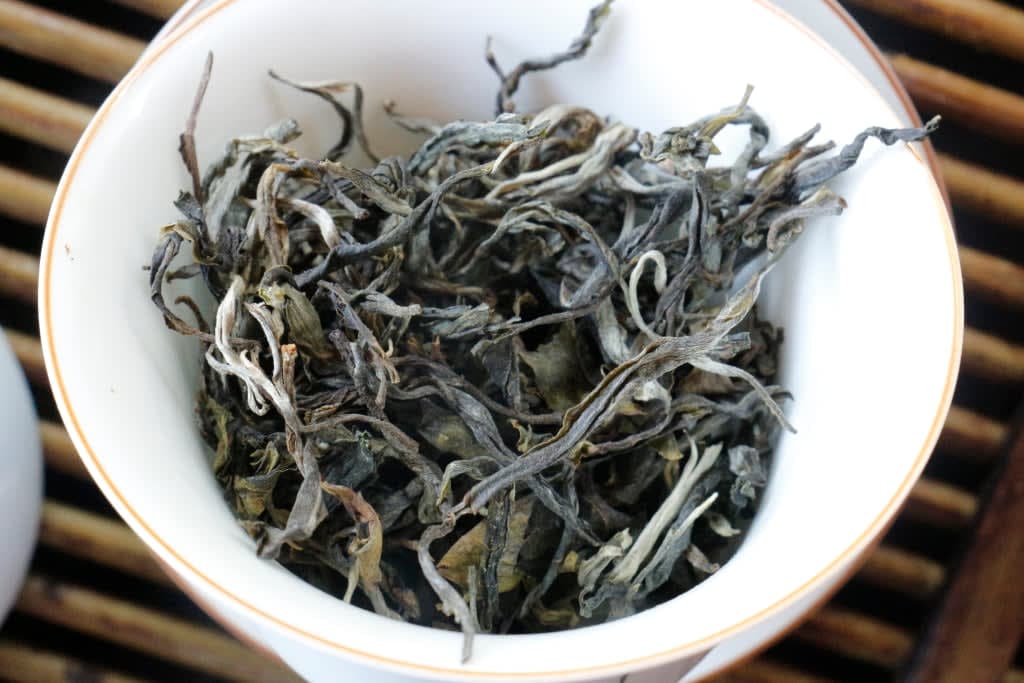 Spring 2020 Jingmai Gushu Mao Cha