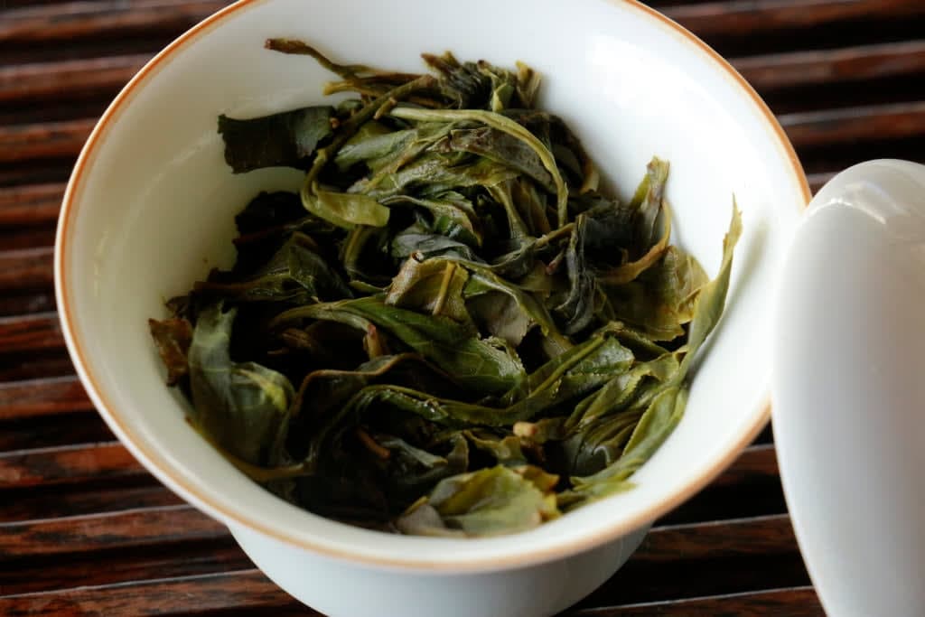 Spring 2019 Jingmai Gushu