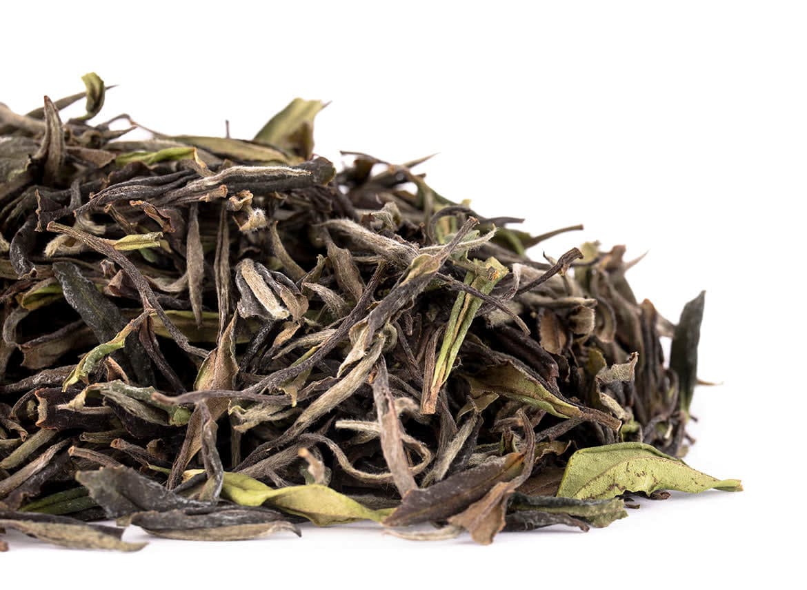Shenshan Huang Ye Xiao Cha: Tè Bianco Zhenghe | Germogli di Primavera