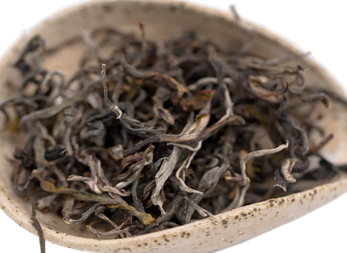 Sheng Vietnam Ancient Tree Loose Leaf Tea | Gongfu Brew