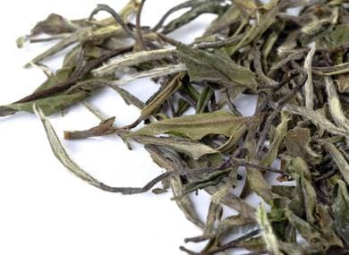 Zhenghe Bai Mu Dan White Peony Loose Leaf Tea | Fujian Origin