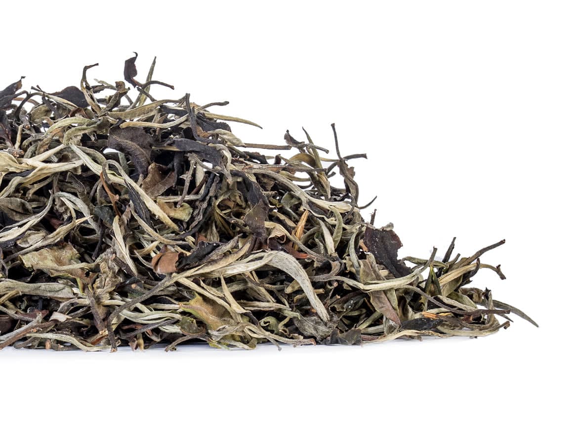 Thai Wild Tree White Tea - Spring 2024 | Floral, Sugary Notes