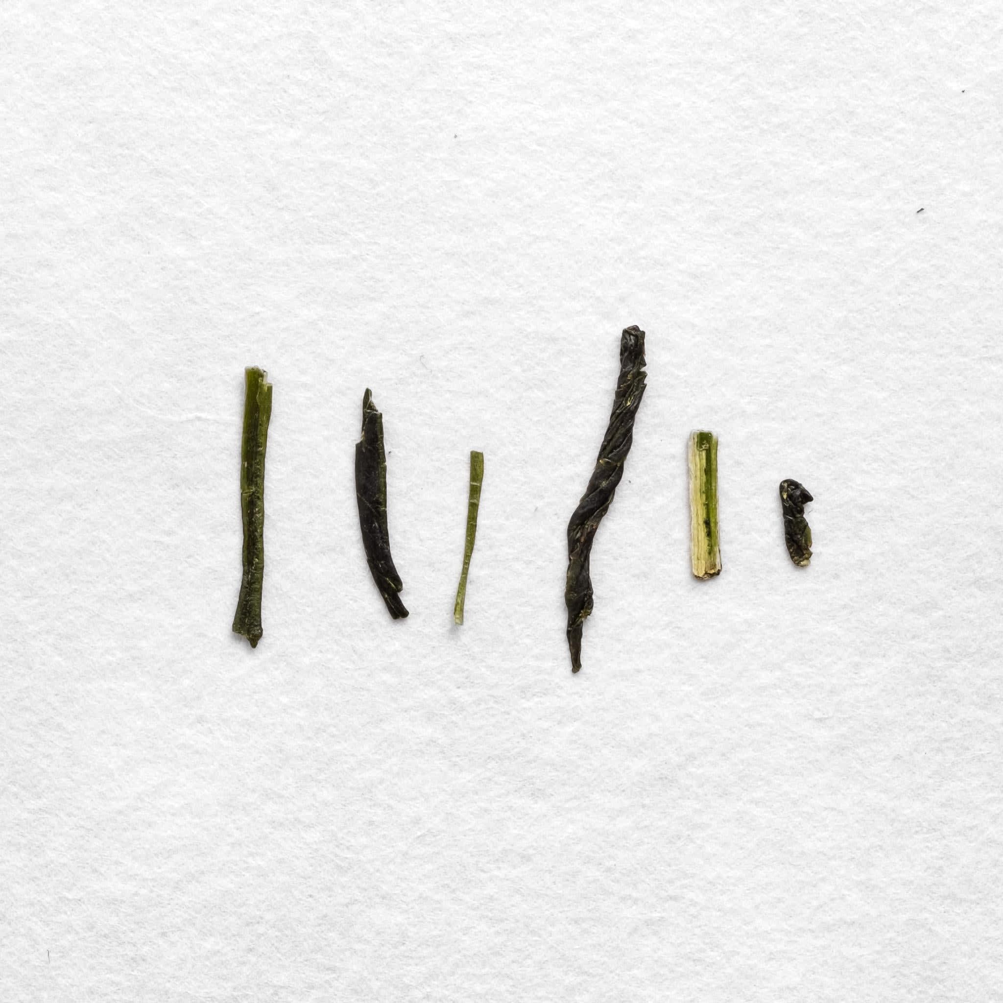 Sayama Hokumei Sencha