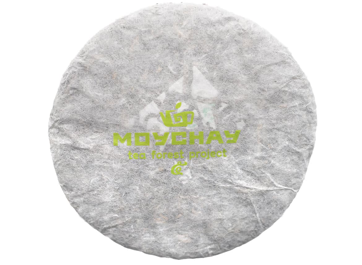 Wild Assamica Sheng Puer Tea - Thailand | Tea Forest Project