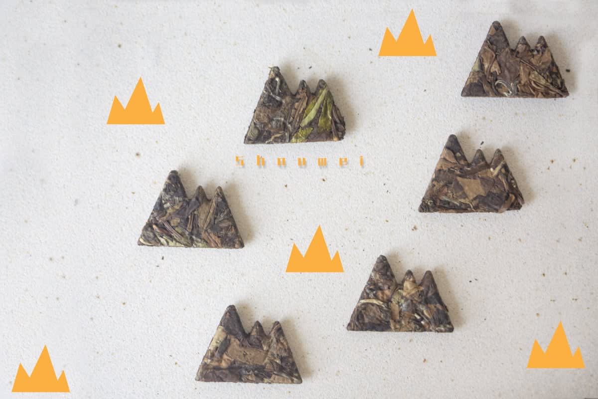 Little Mountain 2020 Fuding Shoumei White Tea | BITTERLEAF TEAS