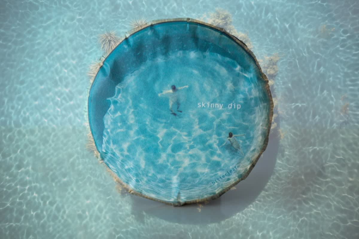 Skinny Dip 2024 Spring Jinggu White Tea | BITTERLEAF TEAS