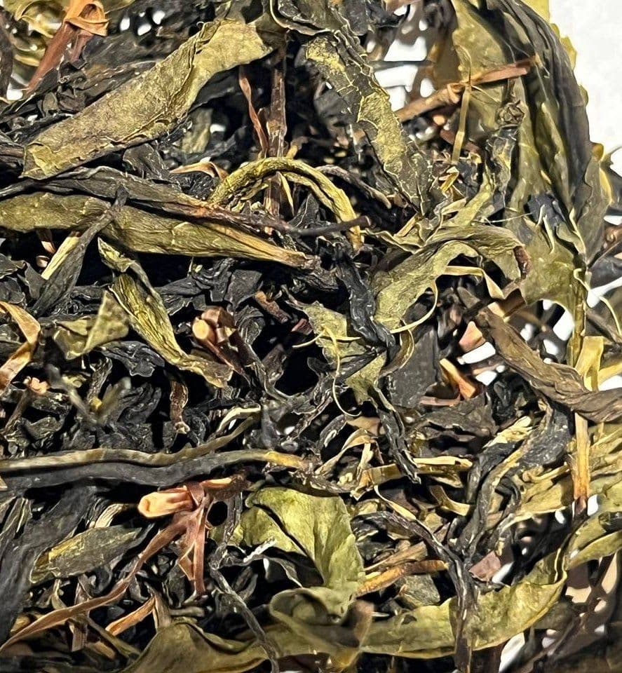 Georgischer Grüner Gaba-Tee | Ozurgeti-Ernte | Stickstoffreicher loser Tee