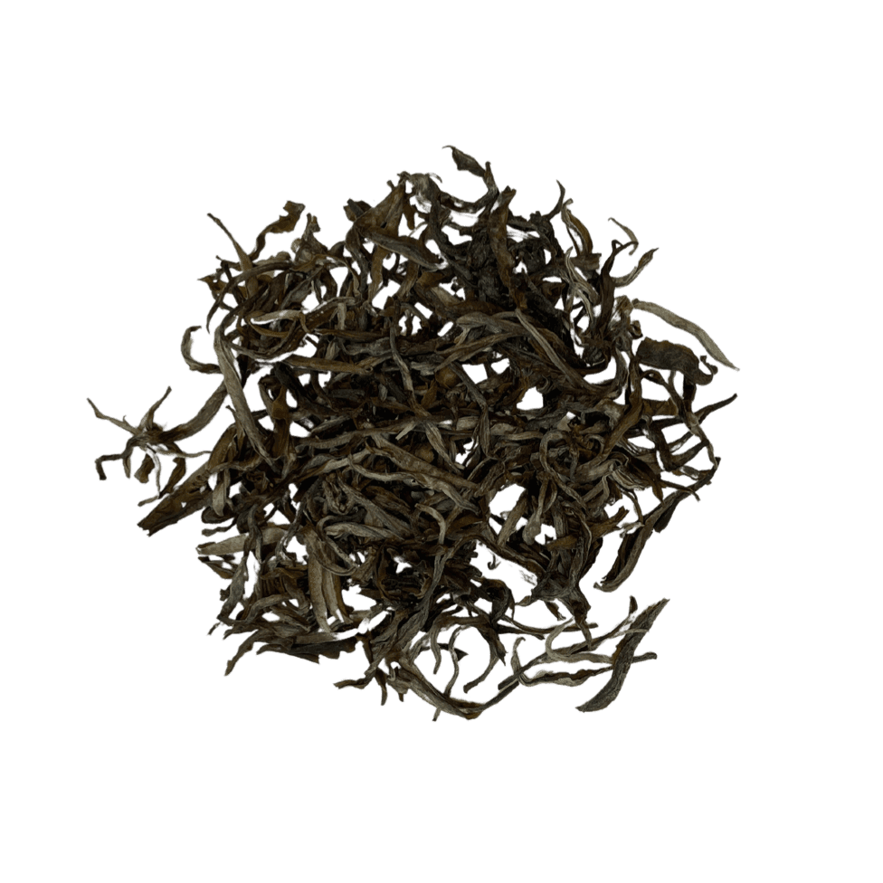 SHQ Vietnam Tè Sfuso Sheng Albero Antico 2022 (1 Germoglio, 1 Foglia)