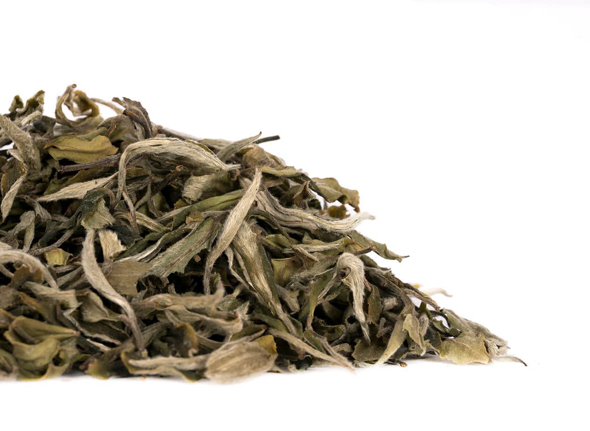 Gaba White Tea: Yongde Alpine, Spring Harvest, Floral-Berry Notes