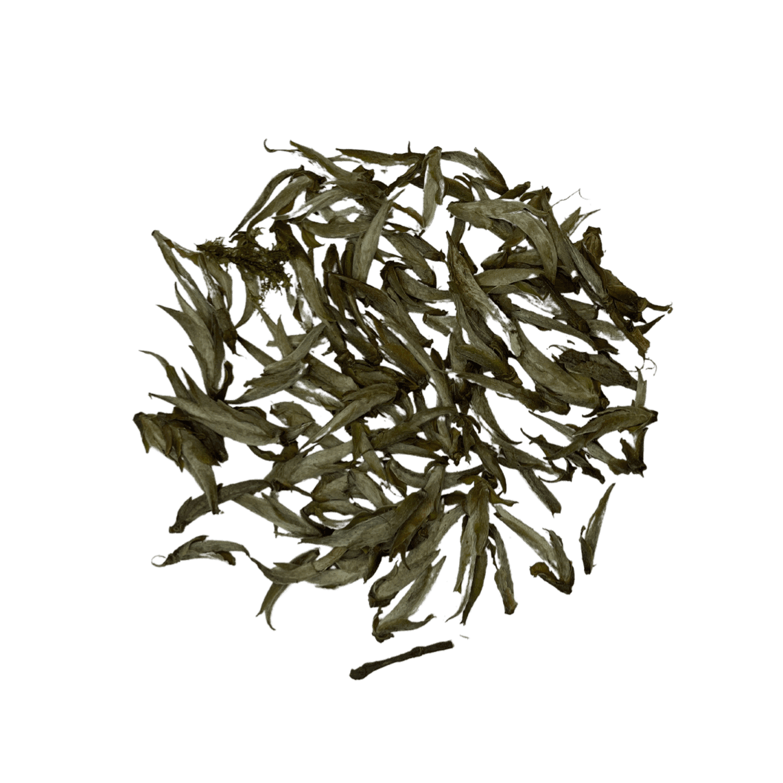 Thé Wild Ya Bao : Feuilles en vrac White Tip du Vietnam