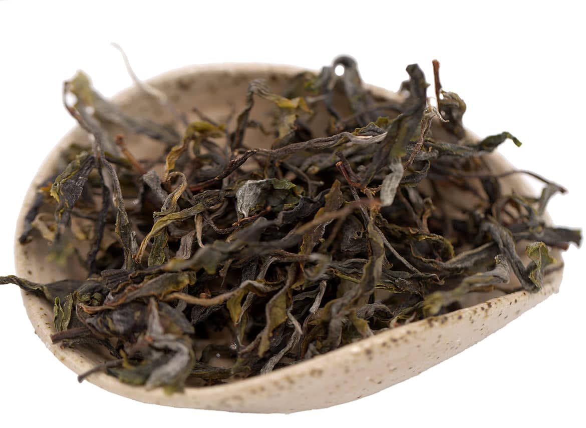 Sheng Gushu 1000yr+ Old Tree Tea | Vietnam Ancient Gardens