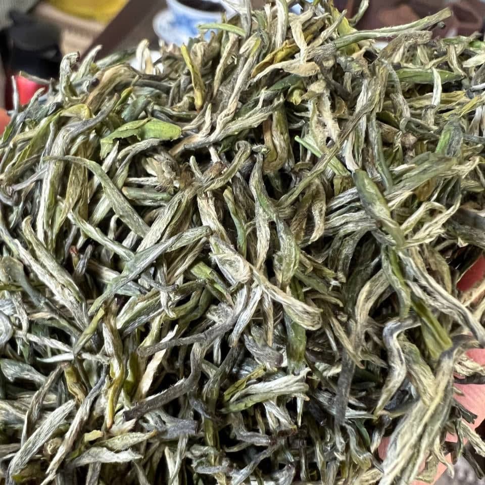 Jiangxi Chun Ya Qingming Groene Thee | Oogst April 2025