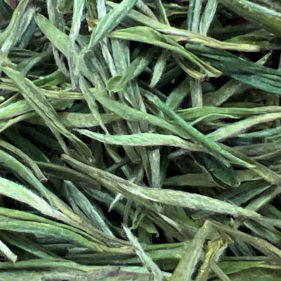 Guizhou Silver Needle SHQ Grüner Tee: Blumige Aprikosennoten