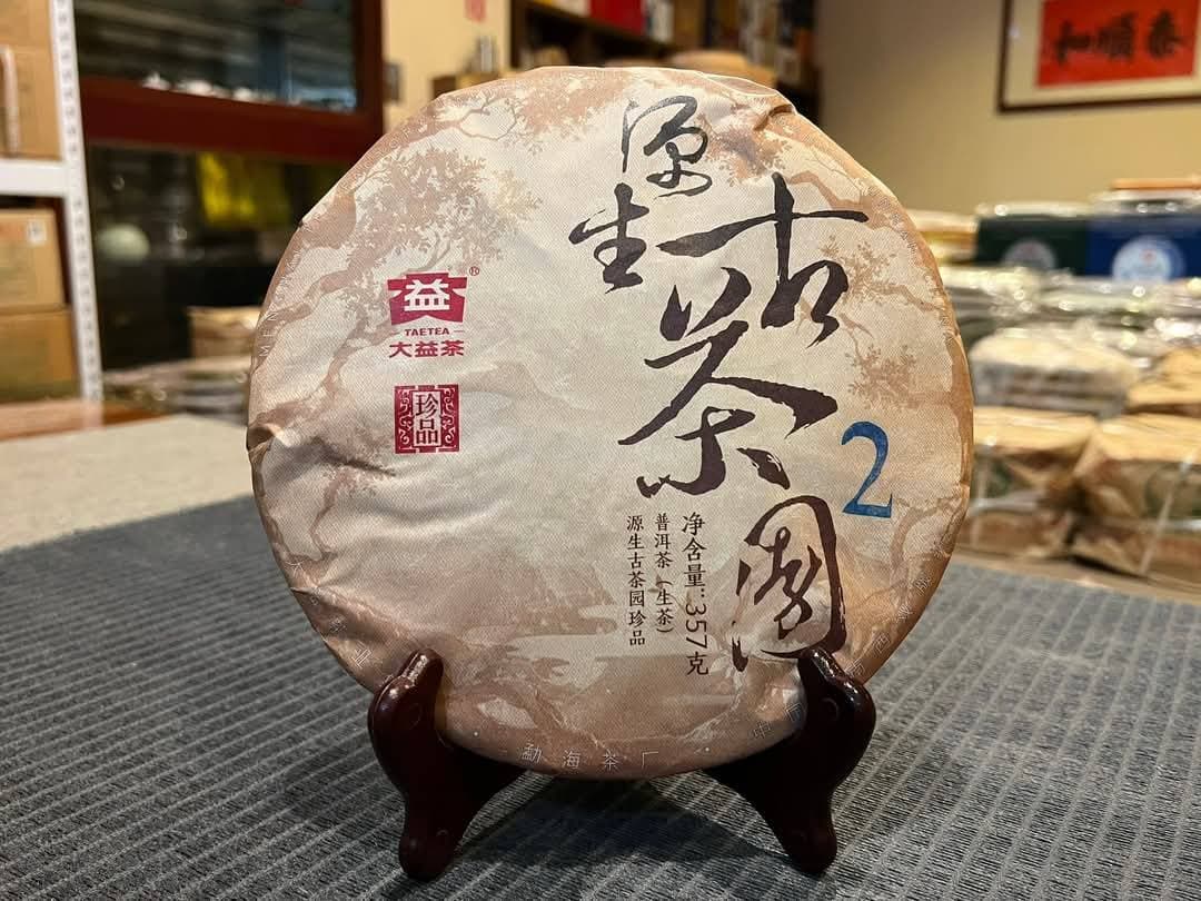 2024 Dayi Yuansheng Guchayuan - Treasure Big 2