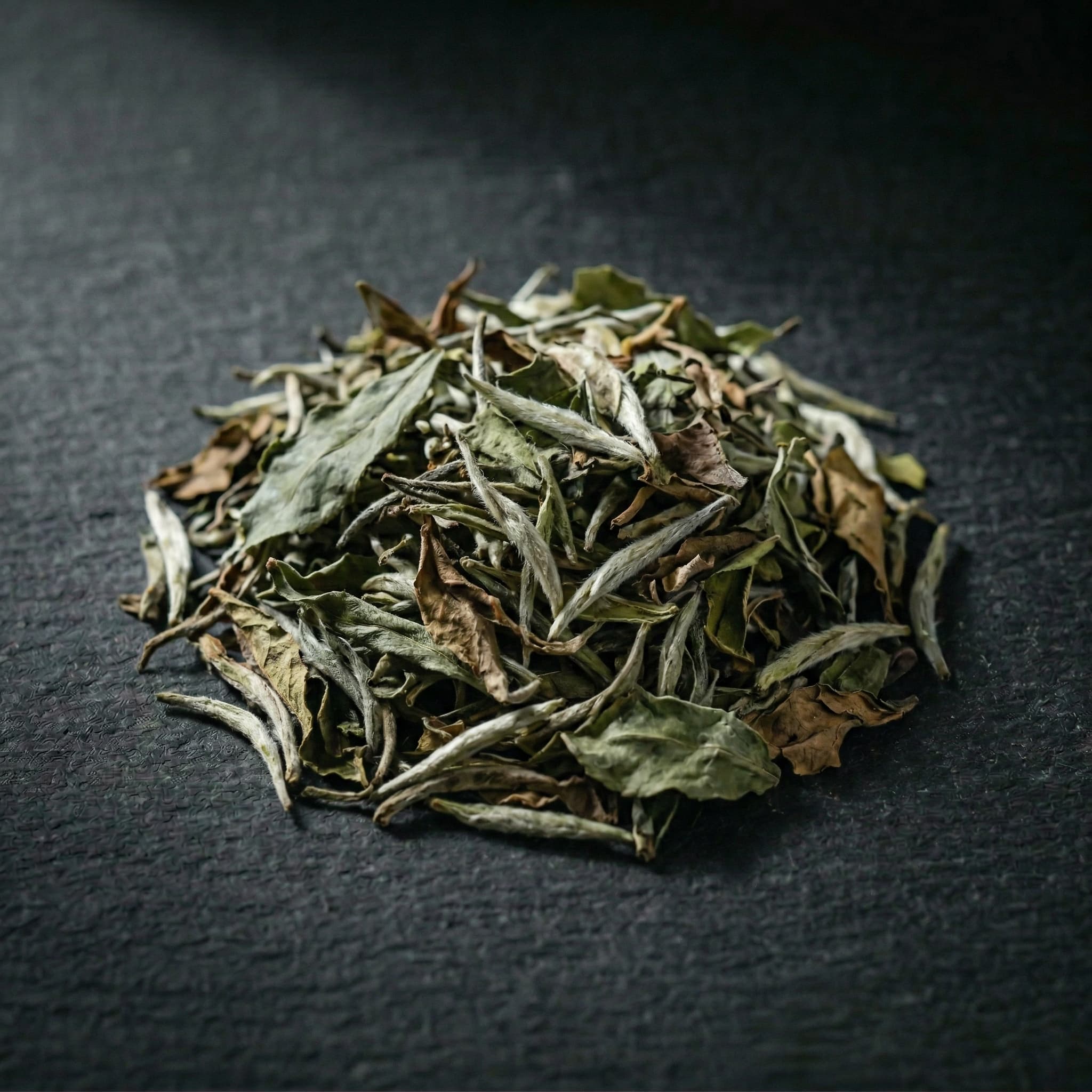 White Tea Headliners