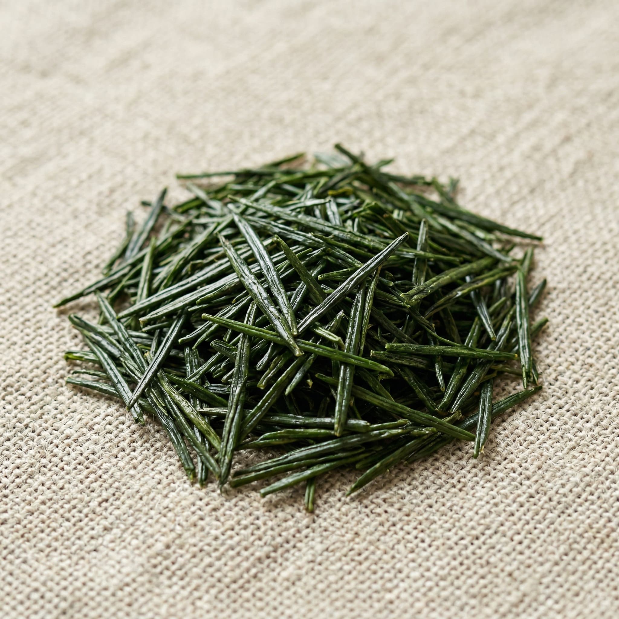 Genmaimatcha Tea Bags Box - 6pk case